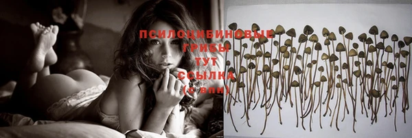 скорость Богданович