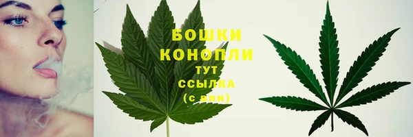 Альфа ПВП Богородицк