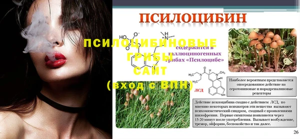Альфа ПВП Богородицк