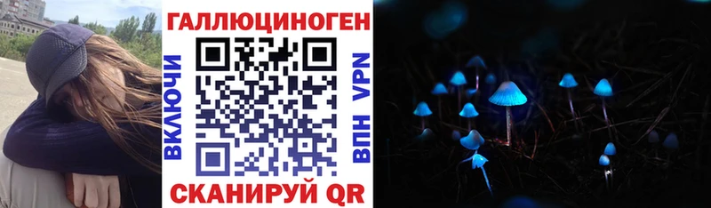 Псилоцибиновые грибы Psilocybe  Купить закладки  Белово 